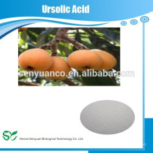 Versorgung Hochwertiges Loquat Blatt Extrakt Pulver 98% Ursolic Acid